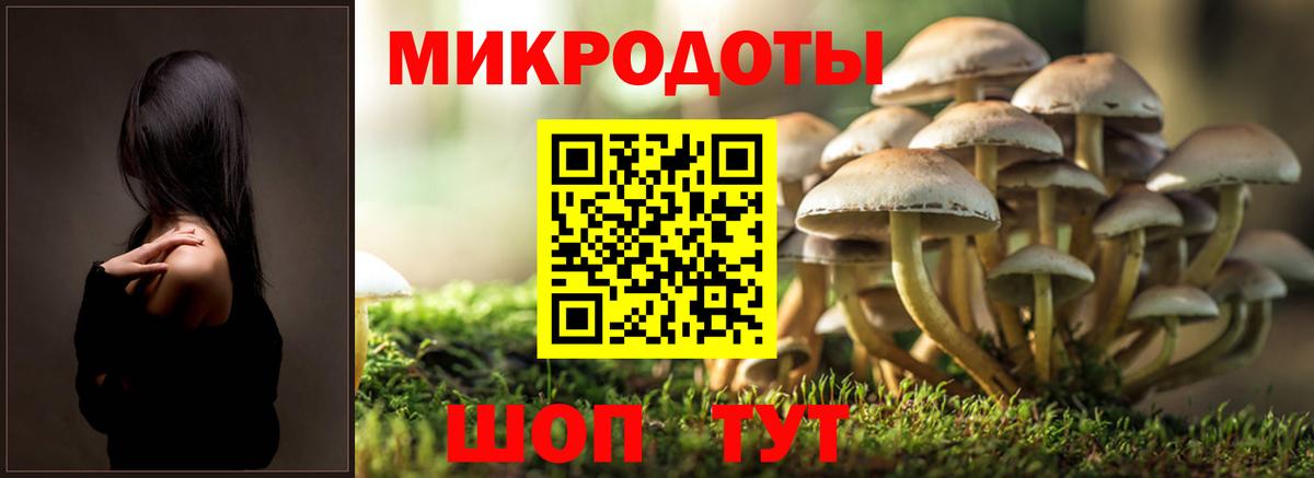 Удомля  Галлюциногенные грибы MAGIC MUSHROOMS  Вход с VPN  Псилоцибиновые грибы Psilocybine cubensis 